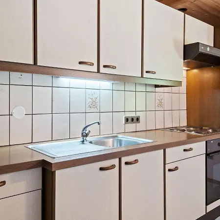 Apartament Huge In Niederau With Garden And Terrace Wildschoenau